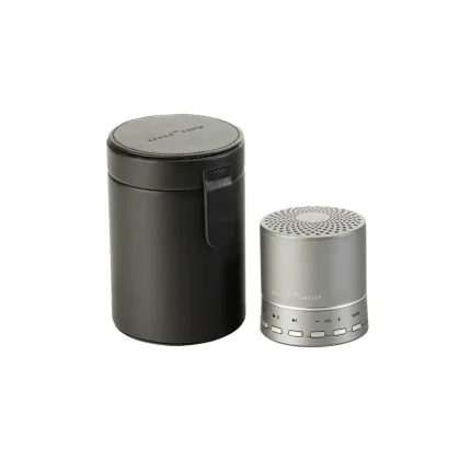 Sound Oasis Leather Travel Case
